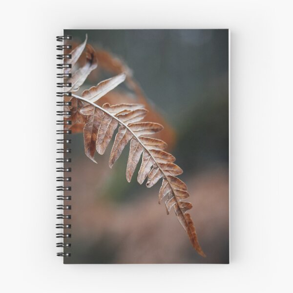 Item preview, One Bracken down designed and sold by Jouko Lehto Photography.