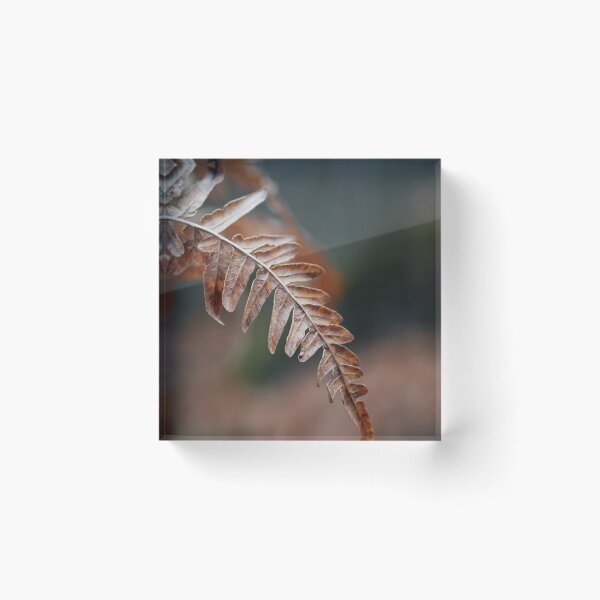 Item preview, One Bracken down designed and sold by Jouko Lehto Photography.