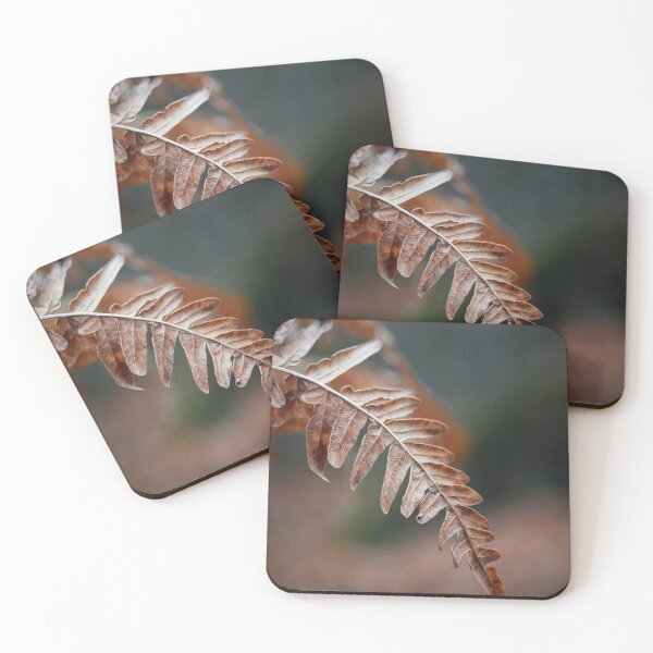 Item preview, One Bracken down designed and sold by Jouko Lehto Photography.