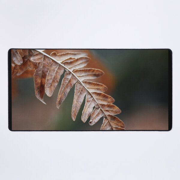 Item preview, One Bracken down designed and sold by Jouko Lehto Photography.