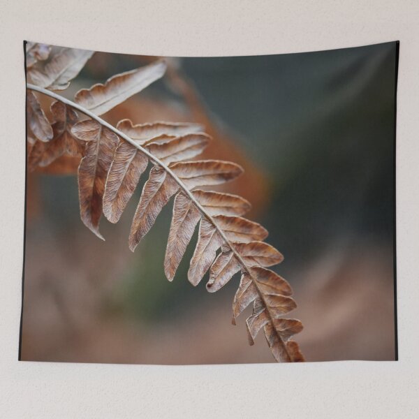 Item preview, One Bracken down designed and sold by Jouko Lehto Photography.
