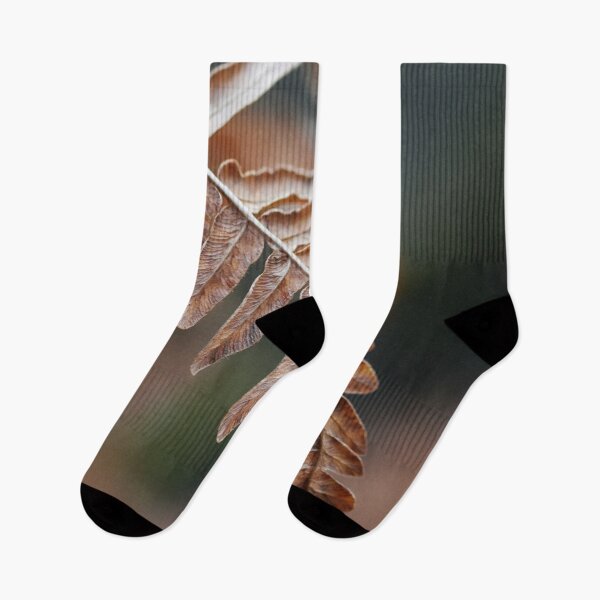 Item preview, One Bracken down designed and sold by Jouko Lehto Photography.