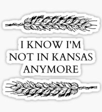 I KNOW I'M NOT IN KANSAS Sticker