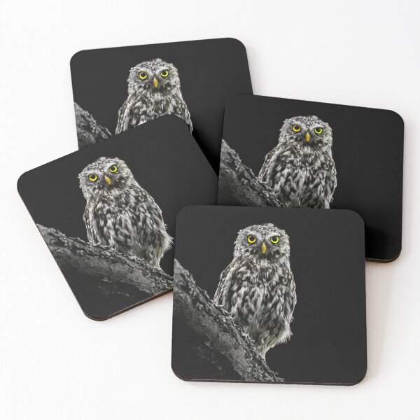 Item preview, Little Owl designed and sold by Rosscoe1985.
