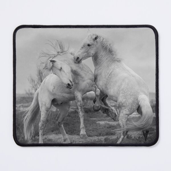 Item preview, Sparring Stallions designed and sold by Tori Andrews.
