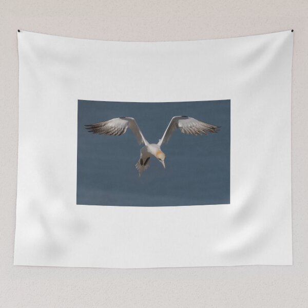 Item preview, Northern Gannet in flight designed and sold by Tori Andrews.