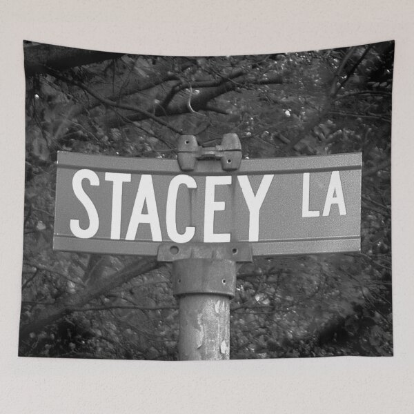 Item preview, A Street Sign Named Stacey designed and sold by jcwest.