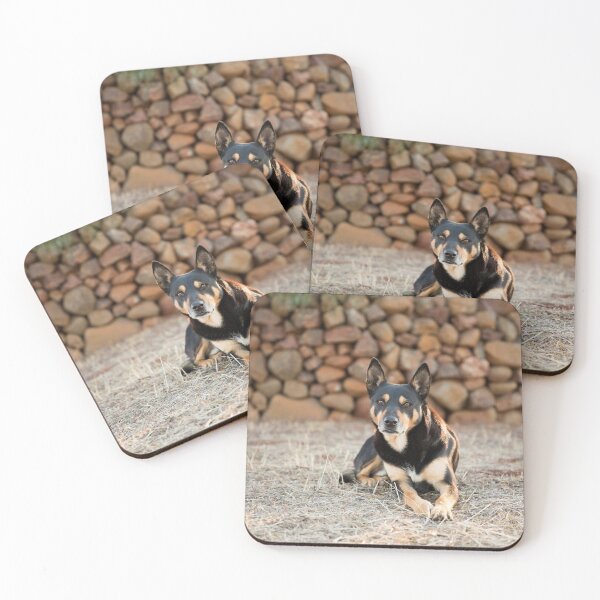 Item preview, Mr Mooch ...... Kelpie King"" designed and sold by mitpjenkeating.
