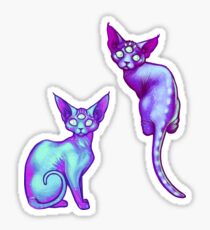 Galacticats Aufkleberpaket Sticker
