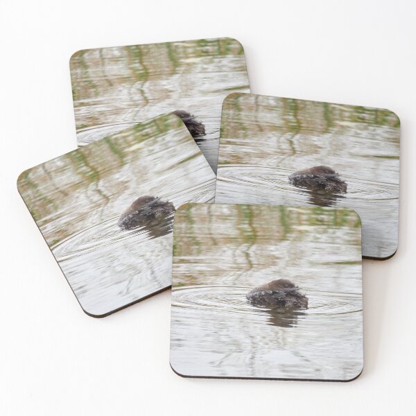 Item preview, Pretender. Common goldeneye designed and sold by Jouko Lehto Photography.