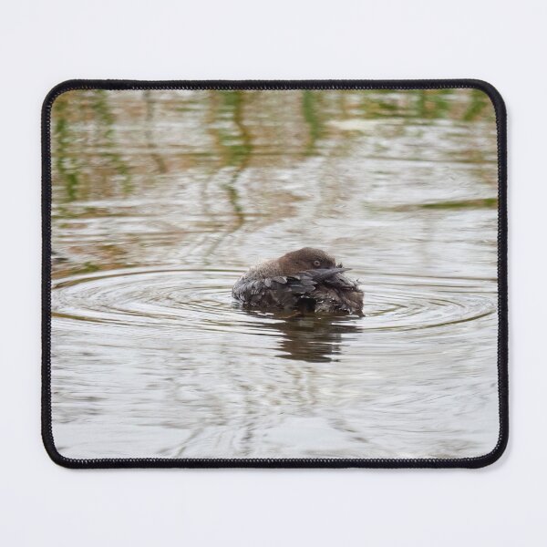 Item preview, Pretender. Common goldeneye designed and sold by Jouko Lehto Photography.