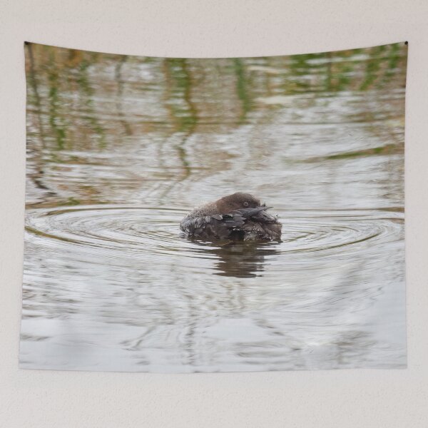 Item preview, Pretender. Common goldeneye designed and sold by Jouko Lehto Photography.