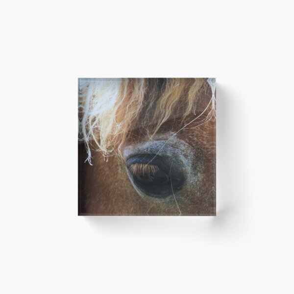 Item preview, brown horses eye designed and sold by Francespoppy.