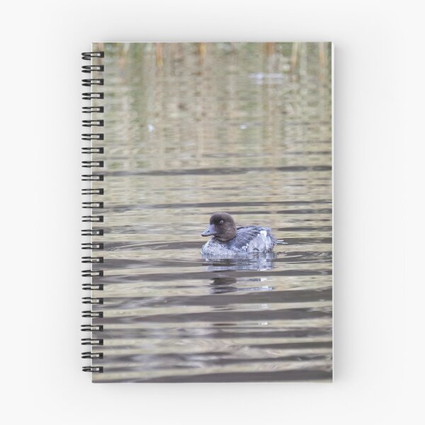Item preview, Cool Common goldeneye designed and sold by Jouko Lehto Photography.