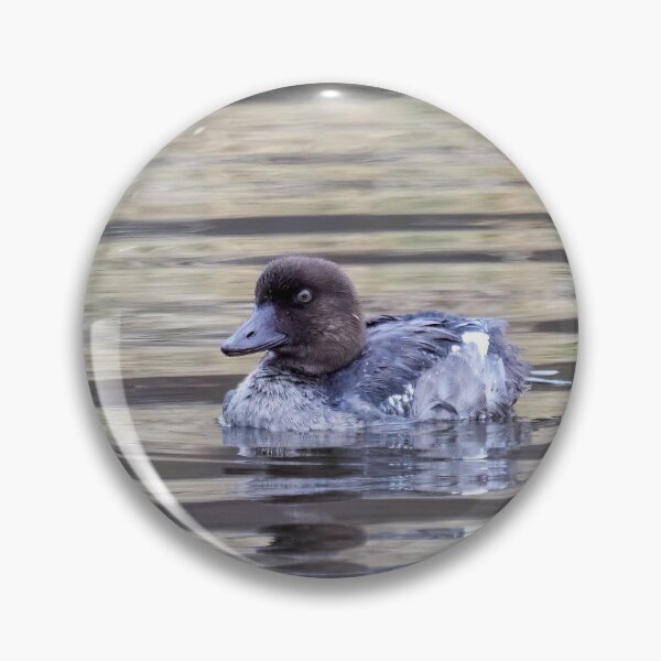 Item preview, Cool Common goldeneye designed and sold by Jouko Lehto Photography.