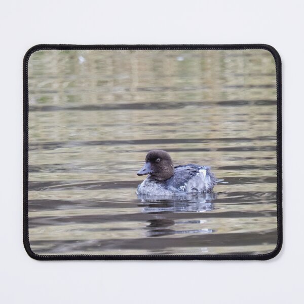 Item preview, Cool Common goldeneye designed and sold by Jouko Lehto Photography.