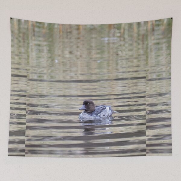 Item preview, Cool Common goldeneye designed and sold by Jouko Lehto Photography.