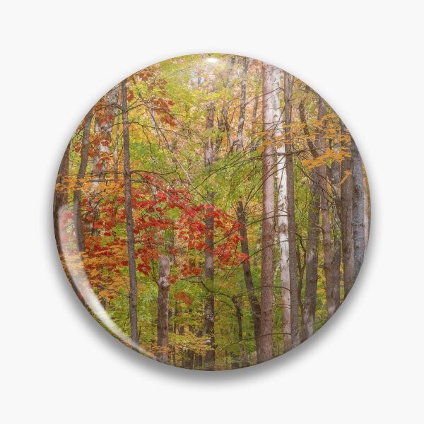 Item preview, Fall Forest designed and sold by Brooke T Ryan Photographic Art.