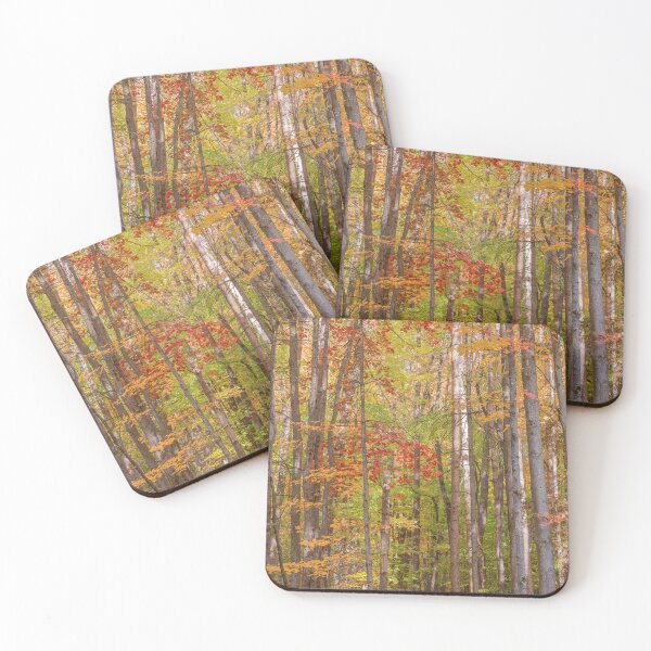 Item preview, Fall Forest designed and sold by Brooke T Ryan Photographic Art.