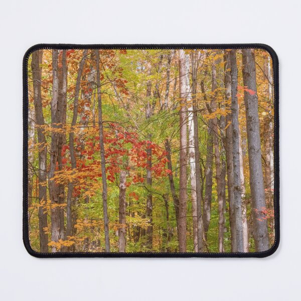 Item preview, Fall Forest designed and sold by Brooke T Ryan Photographic Art.