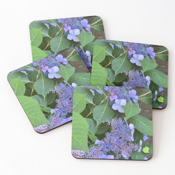 Item preview, Hortensia designed and sold by Diana Schnall-Smith.