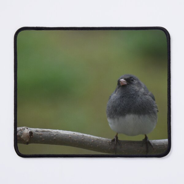 Item preview, A junco on a branch designed and sold by Claude Laprise.