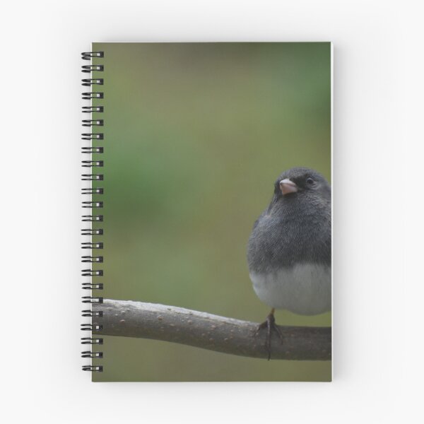 Item preview, A junco on a branch designed and sold by Claude Laprise.