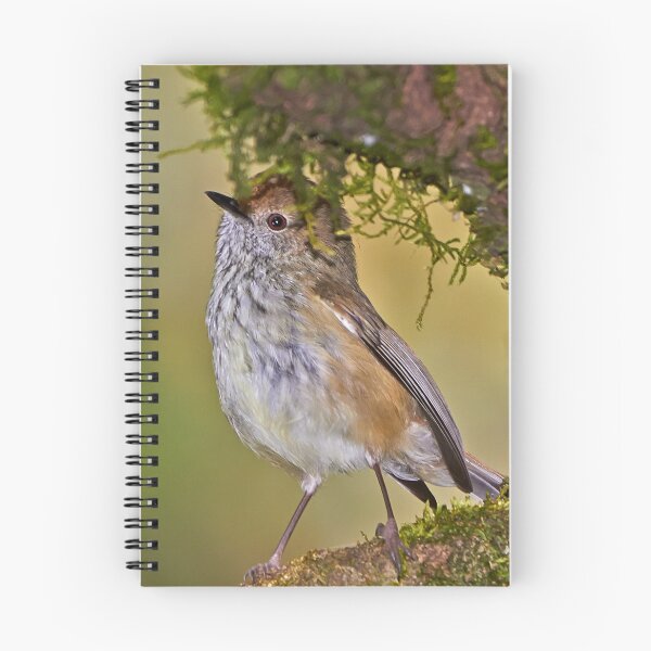 Item preview, Brown Thornbill designed and sold by Robert Elliott.