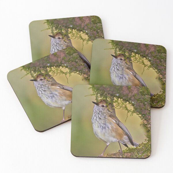 Item preview, Brown Thornbill designed and sold by Robert Elliott.