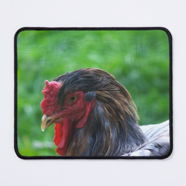 Item preview, chicken  designed and sold by Francespoppy.