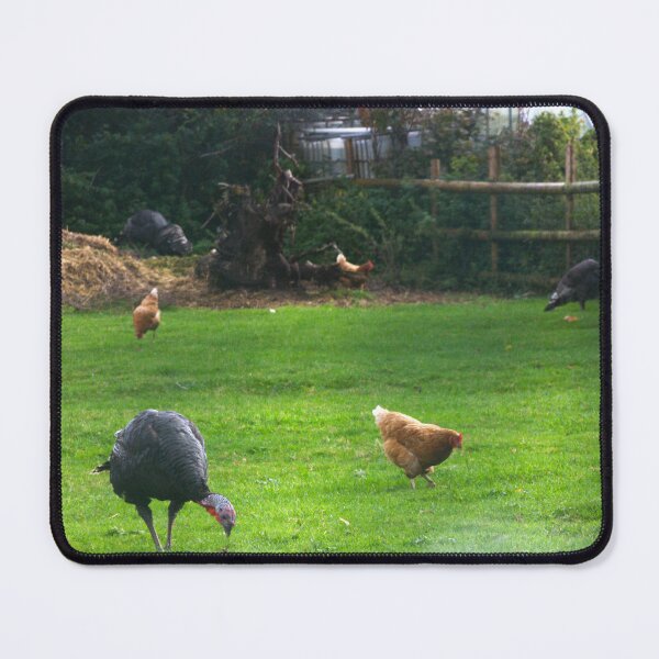 Item preview, chicken and turkey designed and sold by Francespoppy.