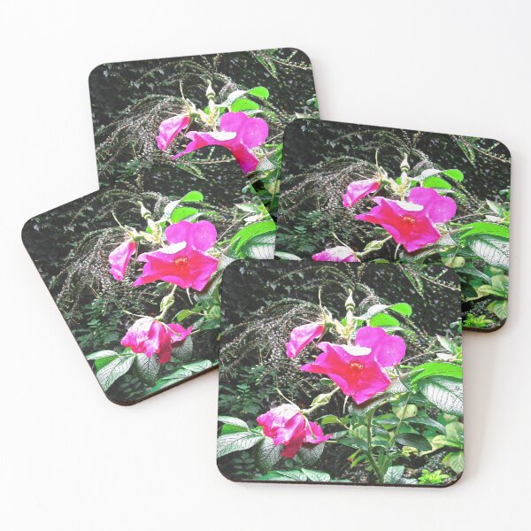 Item preview, Wild Roses in the Rain designed and sold by Shulie1.