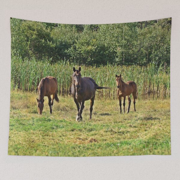 Item preview, Horses designed and sold by cherylorraine.