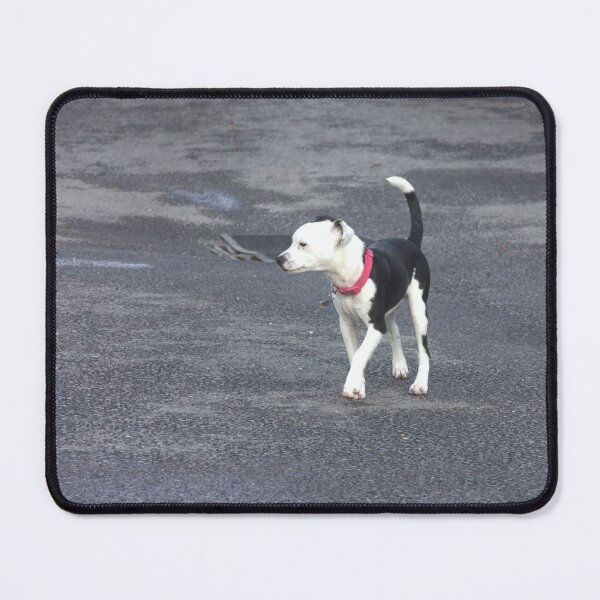 Item preview, black and white puppy dog designed and sold by Francespoppy.
