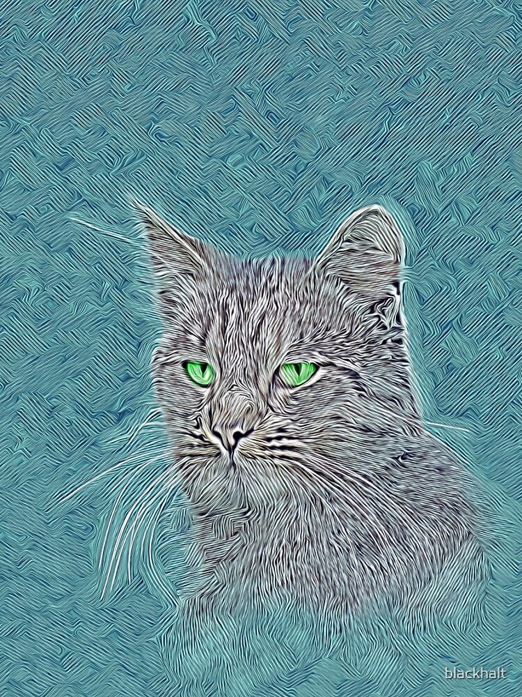 Felis silvestris catus by blackhalt