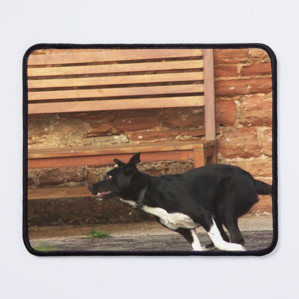 Item preview, black and white dog designed and sold by Francespoppy.