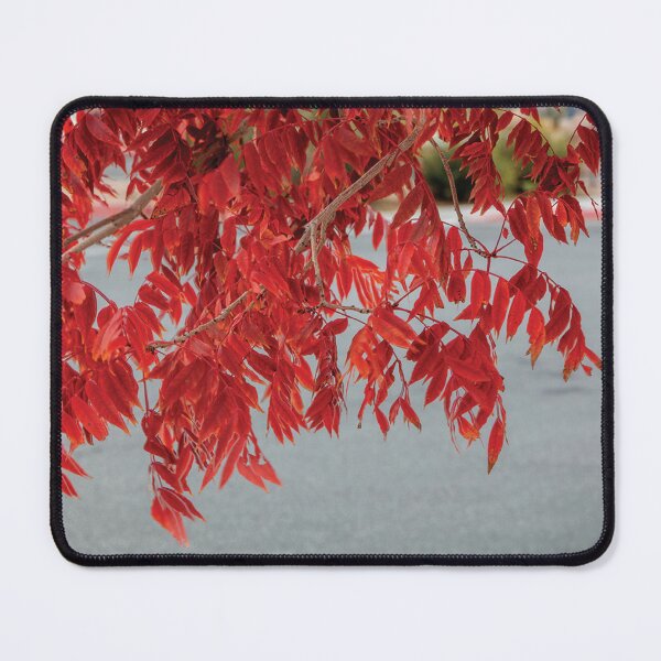 Item preview, Beautiful Fall Leaves to enjoy all year long! designed and sold by JeffreyWayne.