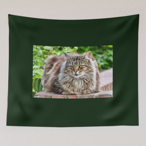 Item preview, Green Eyed Kitty designed and sold by lynn carter.