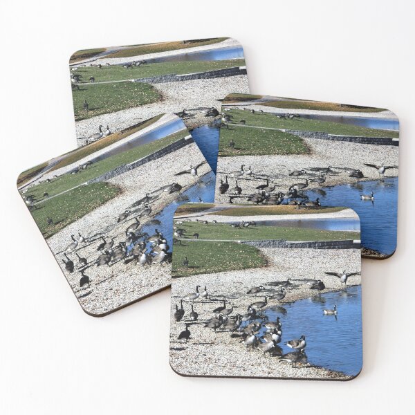 Item preview, Come on in the Water's Fine designed and sold by Scott and Mary Schneider art_photography.