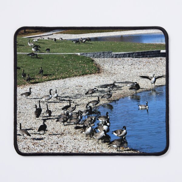 Item preview, Come on in the Water's Fine designed and sold by Scott and Mary Schneider art_photography.