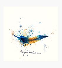 Wingardium Leviosa Photographic Print