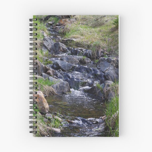 Item preview, Babbling Brook designed and sold by Gary Benson.