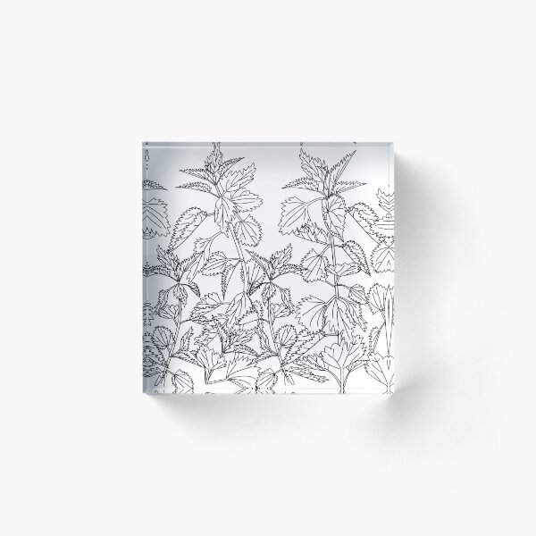 Nettle Acrylic Block