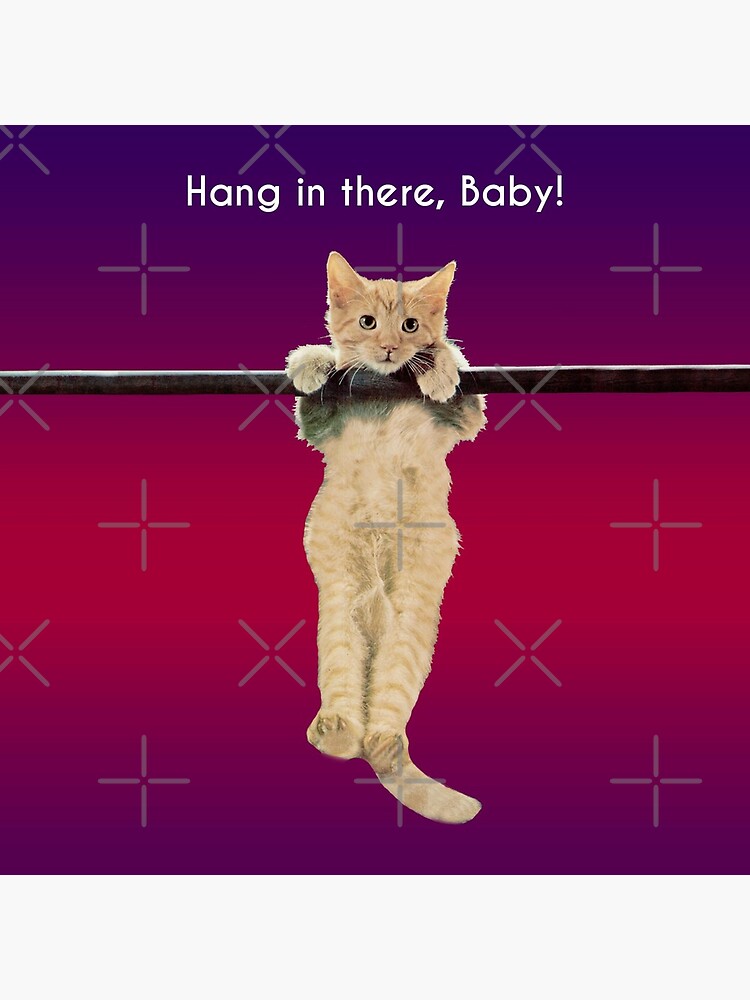 Hang In There Baby Kitten Greeting Card By Cafepretzel Redbubble