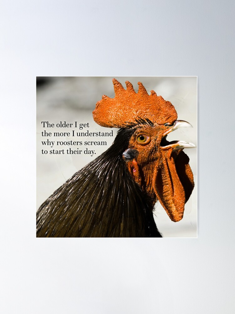 fposter,large,wall_texture,