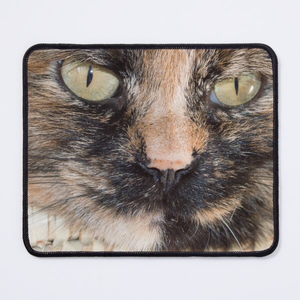 Item preview, Turtle cat face designed and sold by ArboreSciences.