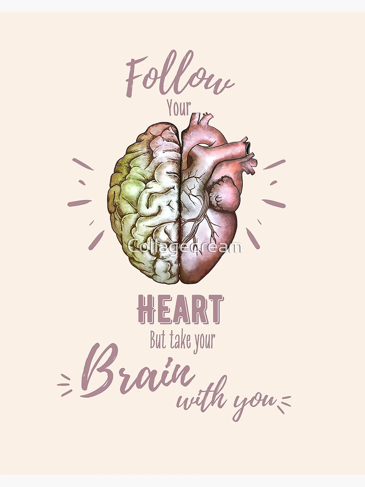 Follow heart but take your brain with you, right balance between 