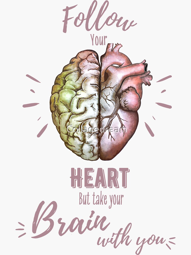 Follow heart but take your brain with you, right balance between 