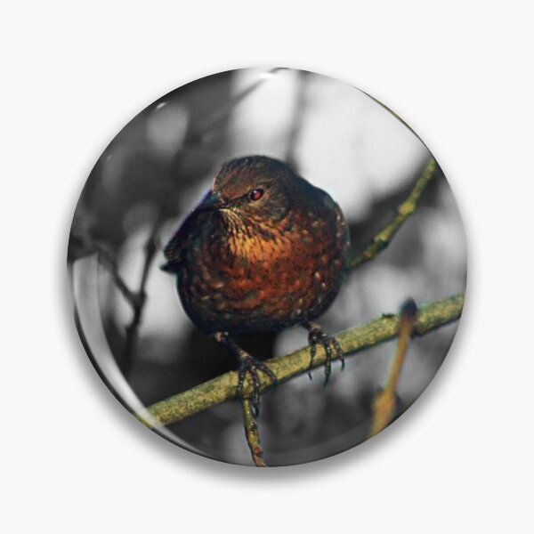 Item preview, bird selective colour designed and sold by Francespoppy.