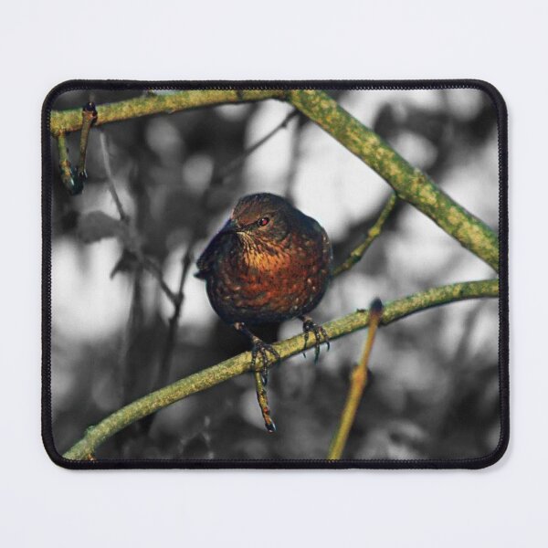 Item preview, bird selective colour designed and sold by Francespoppy.